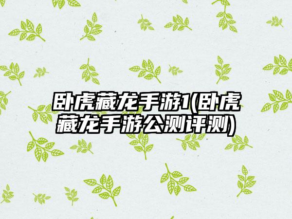卧虎藏龙手游1(卧虎藏龙手游公测评测)