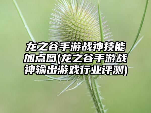龙之谷手游战神技能加点图(龙之谷手游战神输出游戏行业评测)