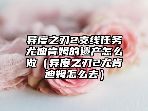 异度之刃2支线任务尤迪肯姆的遗产怎么做（异度之刃2尤肯迪姆怎么去）