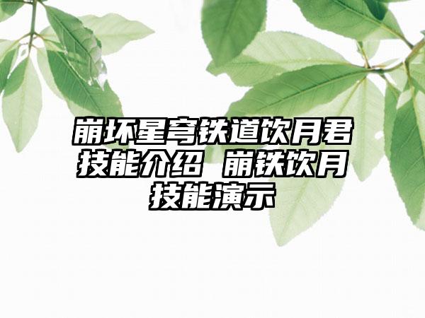 崩坏星穹铁道饮月君技能介绍 崩铁饮月技能演示