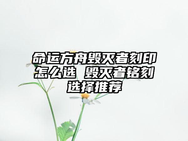 命运方舟毁灭者刻印怎么选 毁灭者铭刻选择推荐