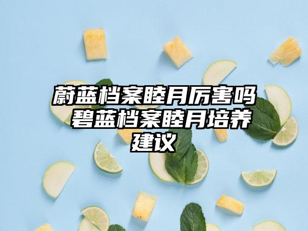 蔚蓝档案睦月厉害吗 碧蓝档案睦月培养建议