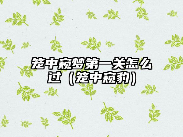 笼中窥梦第一关怎么过（笼中窥豹）