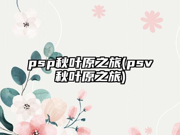 psp秋叶原之旅(psv秋叶原之旅)