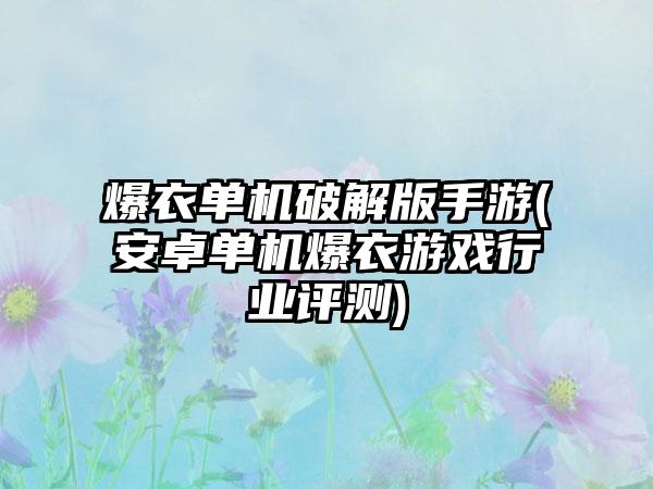 爆衣单机破解版手游(安卓单机爆衣游戏行业评测)