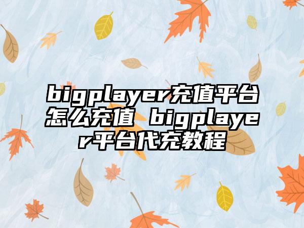bigplayer充值平台怎么充值 bigplayer平台代充教程