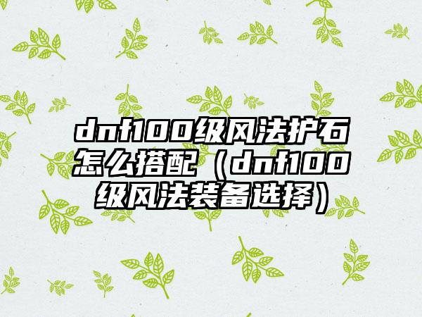 dnf100级风法护石怎么搭配（dnf100级风法装备选择）