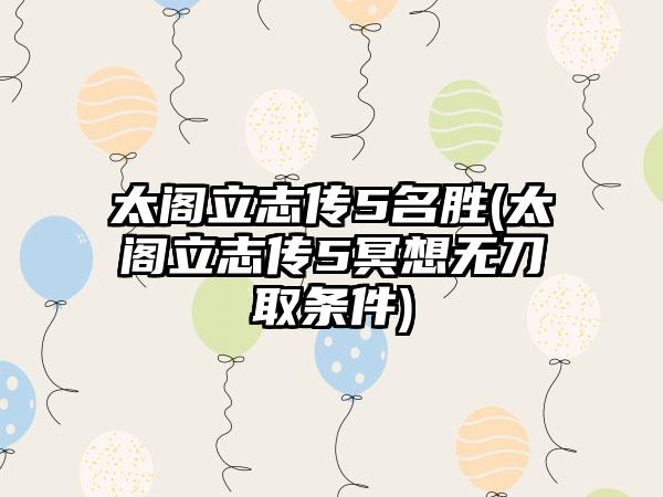 太阁立志传5名胜(太阁立志传5冥想无刀取条件)