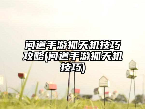 问道手游抓天机技巧攻略(问道手游抓天机技巧)