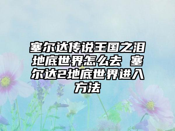 塞尔达传说王国之泪地底世界怎么去 塞尔达2地底世界进入方法