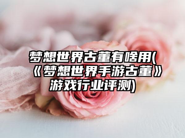 梦想世界古董有啥用(《梦想世界手游古董》游戏行业评测)