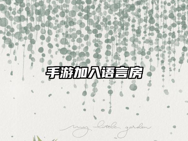 手游加入语言房