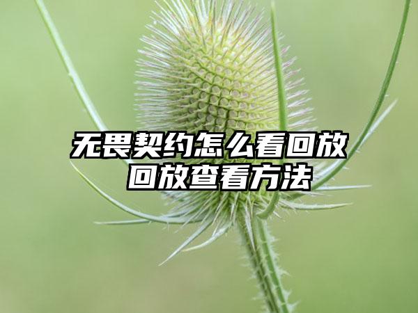 无畏契约怎么看回放 回放查看方法