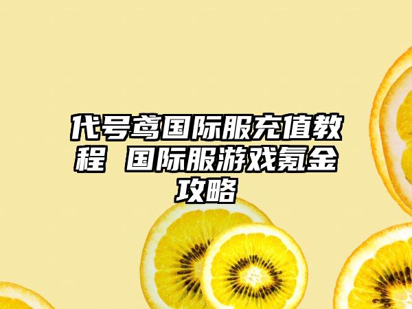代号鸢国际服充值教程 国际服游戏氪金攻略