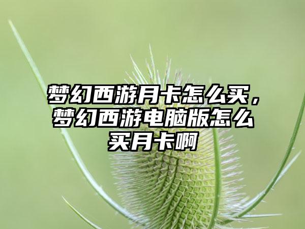 梦幻西游月卡怎么买，梦幻西游电脑版怎么买月卡啊