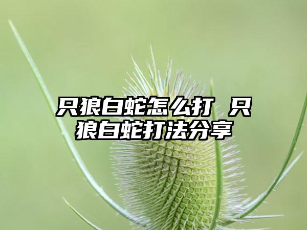 只狼白蛇怎么打 只狼白蛇打法分享