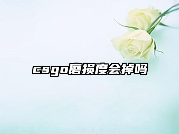 csgo磨损度会掉吗