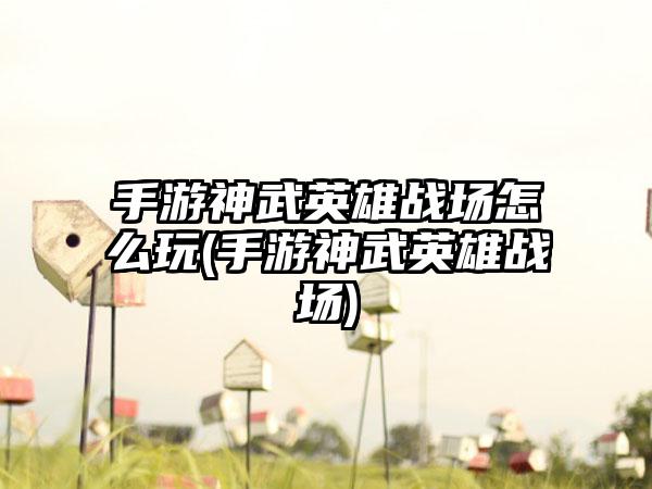 手游神武英雄战场怎么玩(手游神武英雄战场)