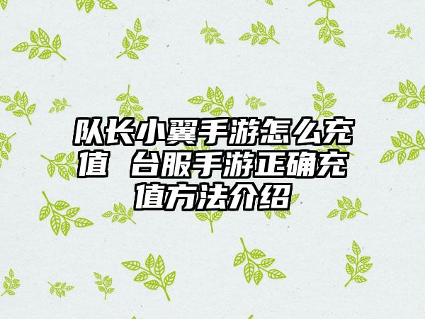 队长小翼手游怎么充值 台服手游正确充值方法介绍