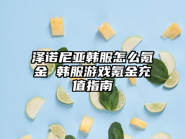 泽诺尼亚韩服怎么氪金 韩服游戏氪金充值指南