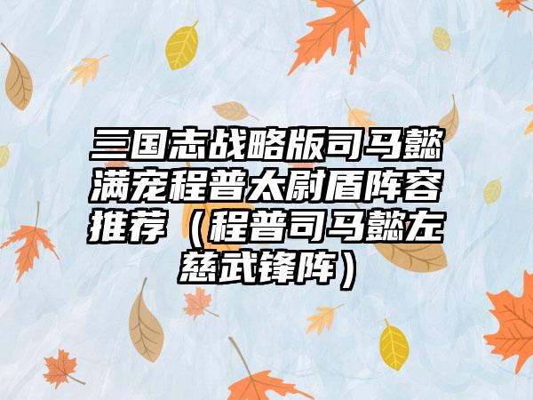 三国志战略版司马懿满宠程普太尉盾阵容推荐（程普司马懿左慈武锋阵）