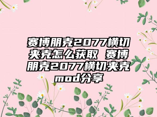 赛博朋克2077横切夹克怎么获取 赛博朋克2077横切夹克mod分享