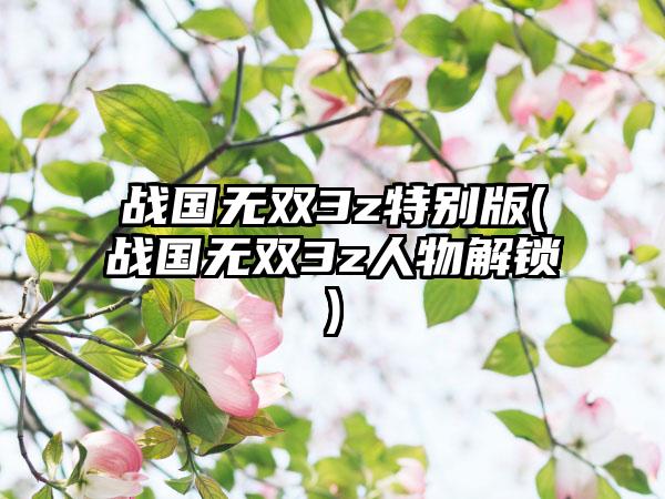 战国无双3z特别版(战国无双3z人物解锁)