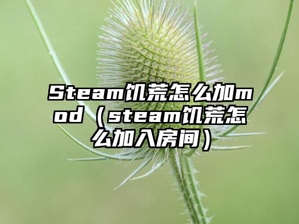 Steam饥荒怎么加mod（steam饥荒怎么加入房间）