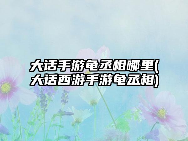 大话手游龟丞相哪里(大话西游手游龟丞相)