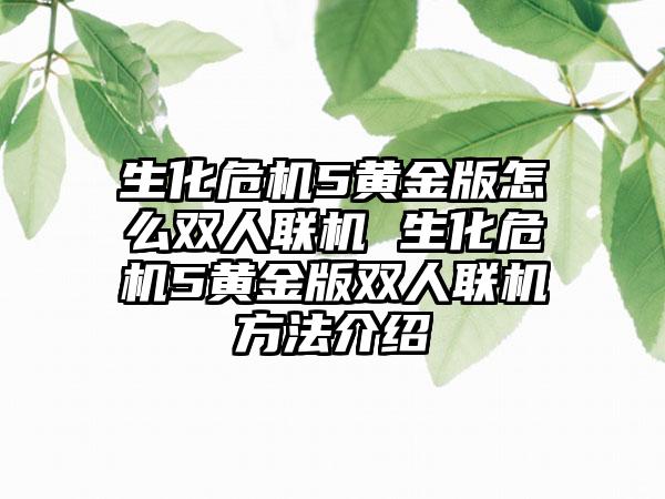 生化危机5黄金版怎么双人联机 生化危机5黄金版双人联机方法介绍