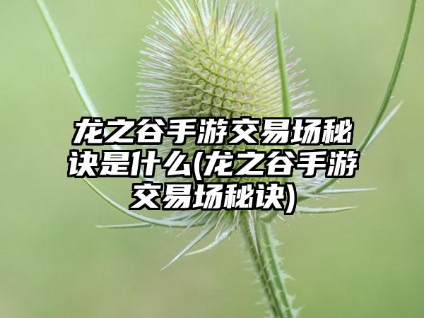龙之谷手游交易场秘诀是什么(龙之谷手游交易场秘诀)
