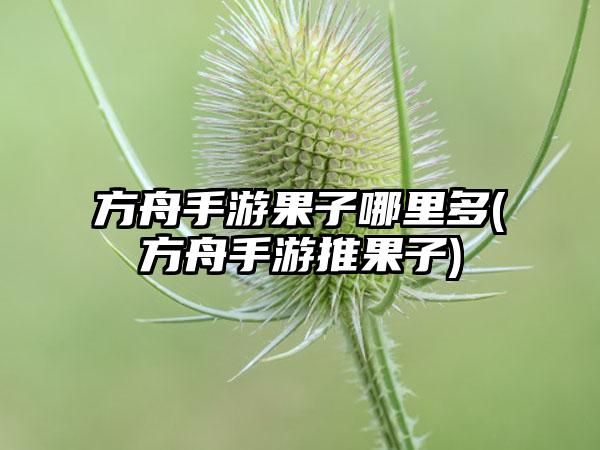 方舟手游果子哪里多(方舟手游推果子)