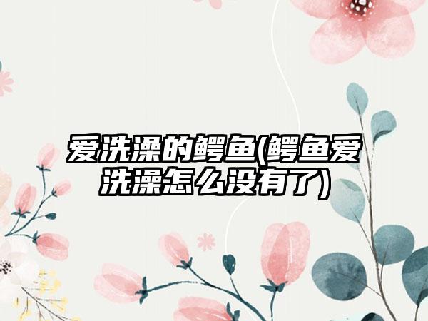 爱洗澡的鳄鱼(鳄鱼爱洗澡怎么没有了)