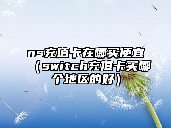 ns充值卡在哪买便宜（switch充值卡买哪个地区的好）