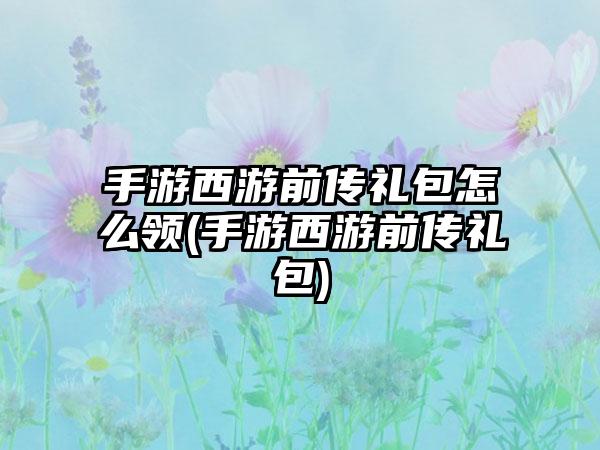 手游西游前传礼包怎么领(手游西游前传礼包)