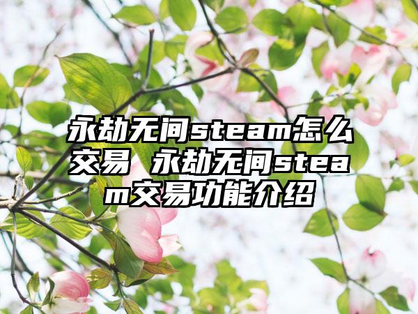 永劫无间steam怎么交易 永劫无间steam交易功能介绍