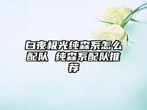 白夜极光纯森系怎么配队 纯森系配队推荐