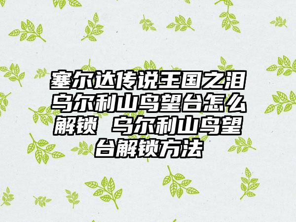 塞尔达传说王国之泪乌尔利山鸟望台怎么解锁 乌尔利山鸟望台解锁方法