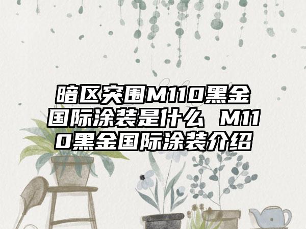暗区突围M110黑金国际涂装是什么 M110黑金国际涂装介绍