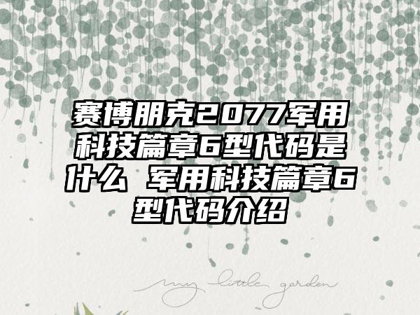赛博朋克2077军用科技篇章6型代码是什么 军用科技篇章6型代码介绍