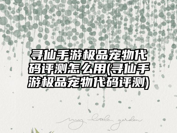 寻仙手游极品宠物代码评测怎么用(寻仙手游极品宠物代码评测)