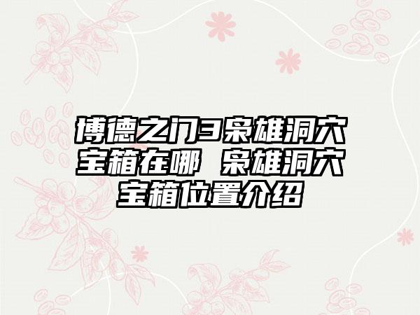 博德之门3枭雄洞穴宝箱在哪 枭雄洞穴宝箱位置介绍