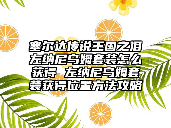 塞尔达传说王国之泪左纳尼乌姆套装怎么获得 左纳尼乌姆套装获得位置方法攻略