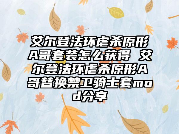 艾尔登法环虐杀原形A哥套装怎么获得 艾尔登法环虐杀原形A哥替换禁卫骑士套mod分享