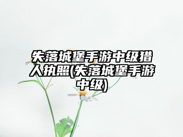 失落城堡手游中级猎人执照(失落城堡手游中级)