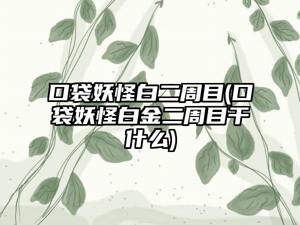 口袋妖怪白二周目(口袋妖怪白金二周目干什么)