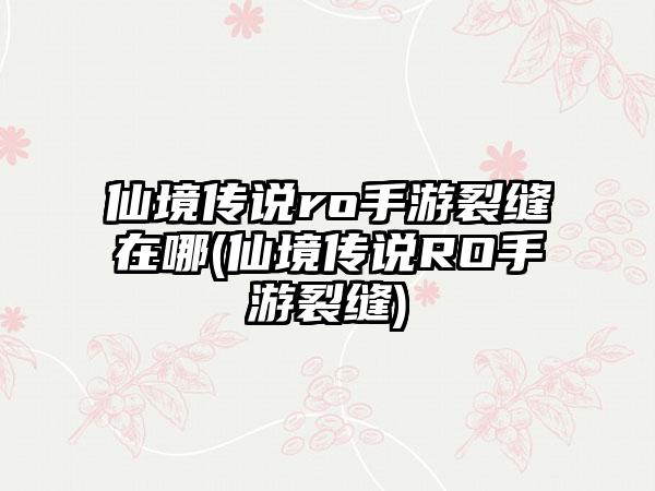 仙境传说ro手游裂缝在哪(仙境传说RO手游裂缝)