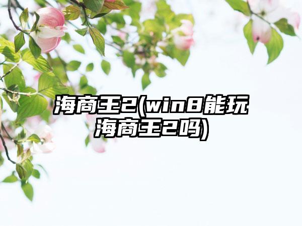 海商王2(win8能玩海商王2吗)
