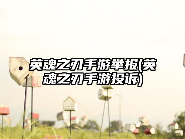 英魂之刃手游举报(英魂之刃手游投诉)
