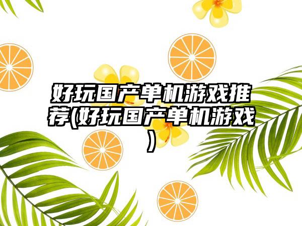 好玩国产单机游戏推荐(好玩国产单机游戏)